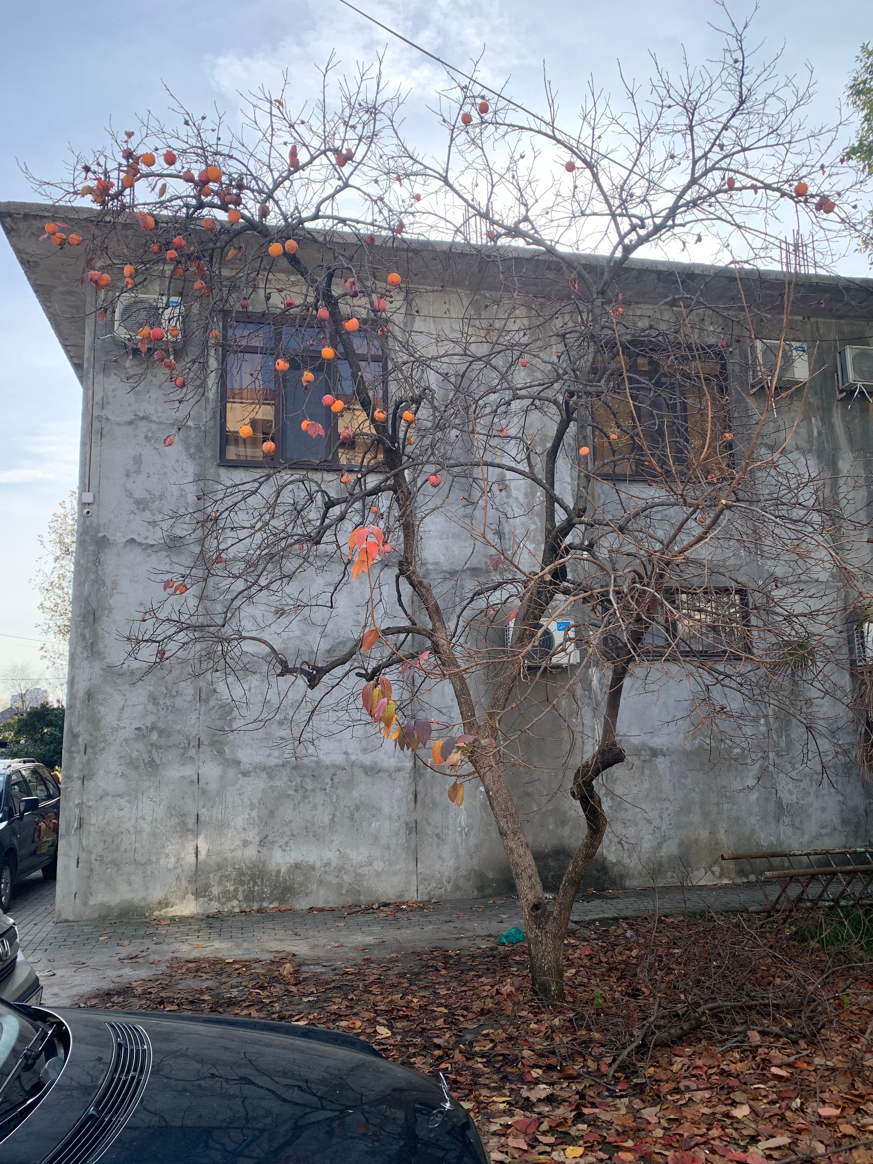 Фото проекта: Частный жилой дом